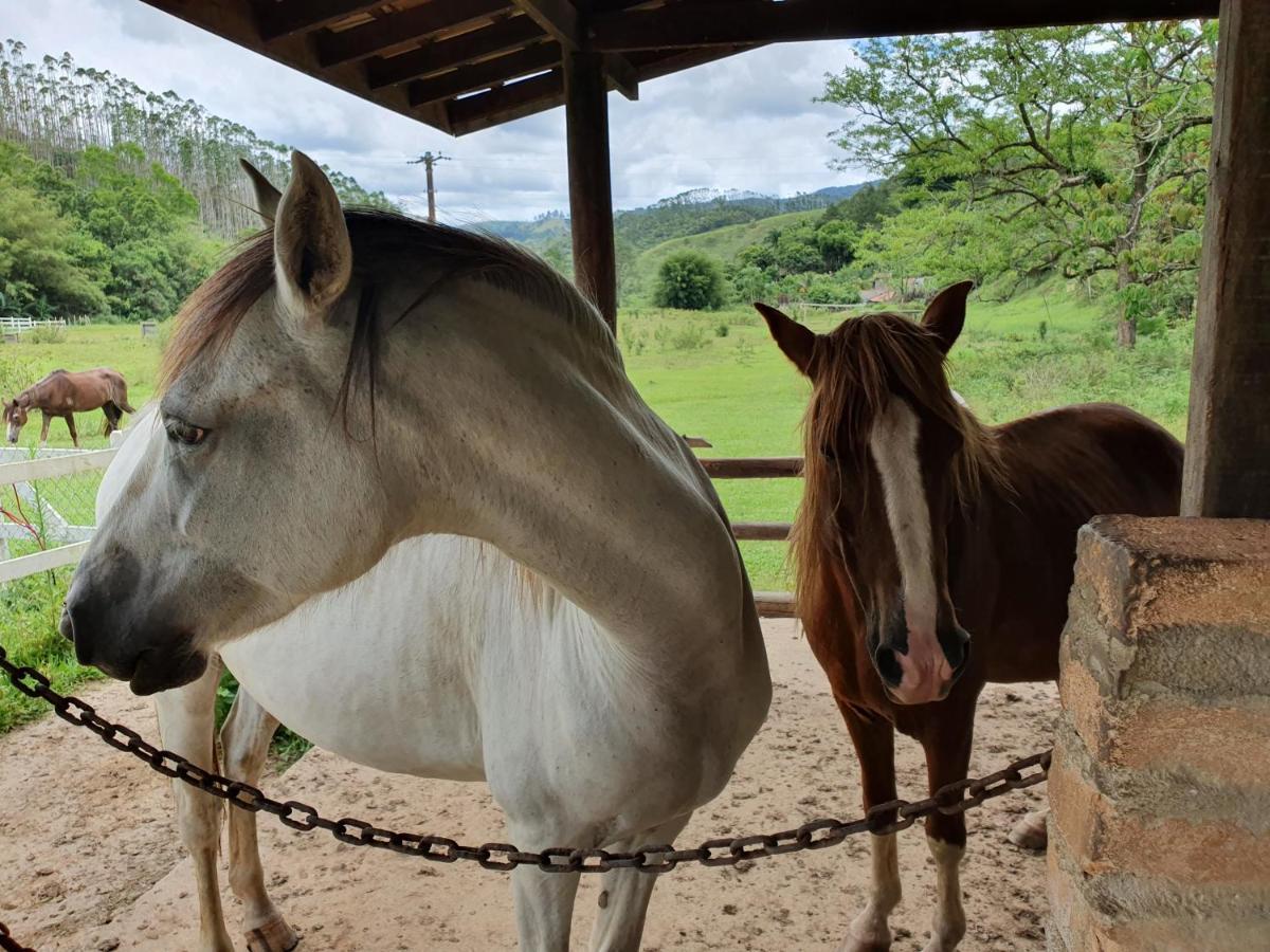 Espaco Casa Na Rocha São José dos Campos Dış mekan fotoğraf